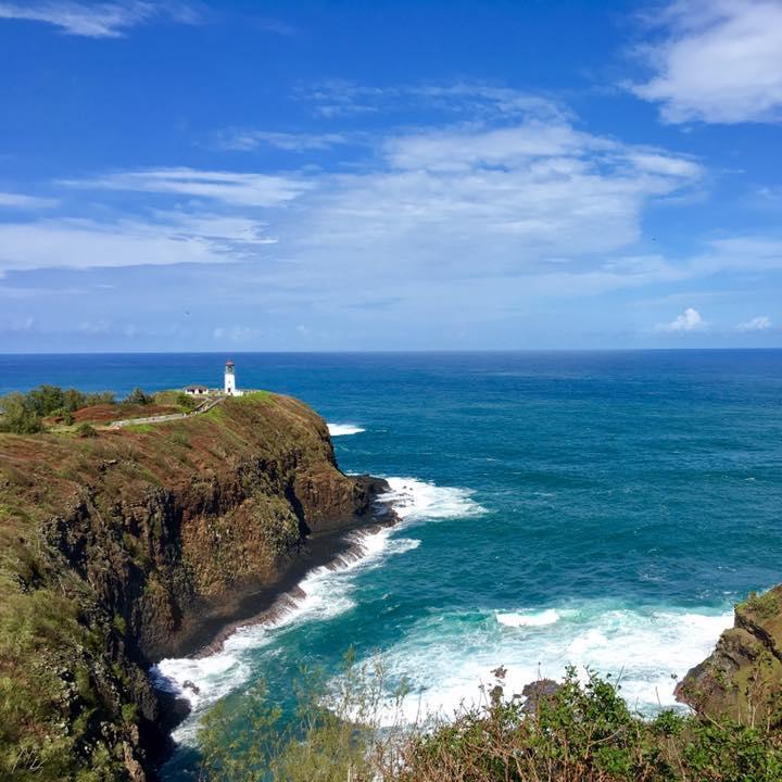 Kilauea Lighthouse, Kauai, Hawaii
The scene of the proposal!