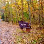 George Washington National Forest