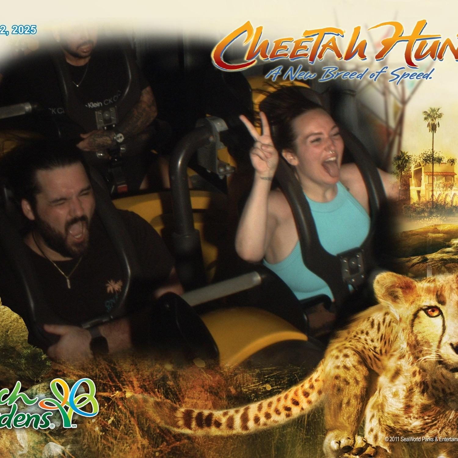 Busch Gardens 2025