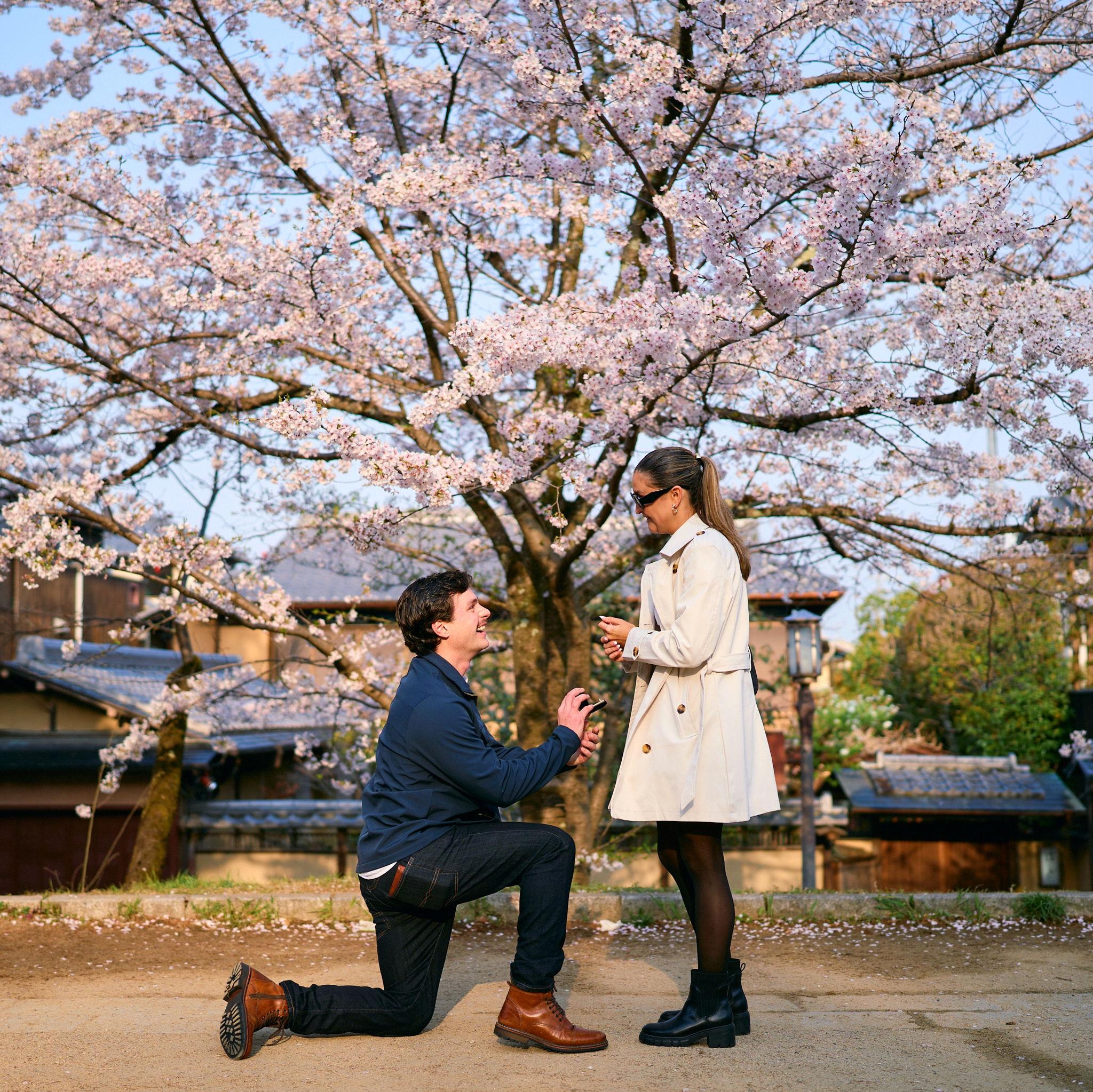 Forever started under the Cherry Blossoms in Kyoto