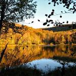 Local Hiking Trails