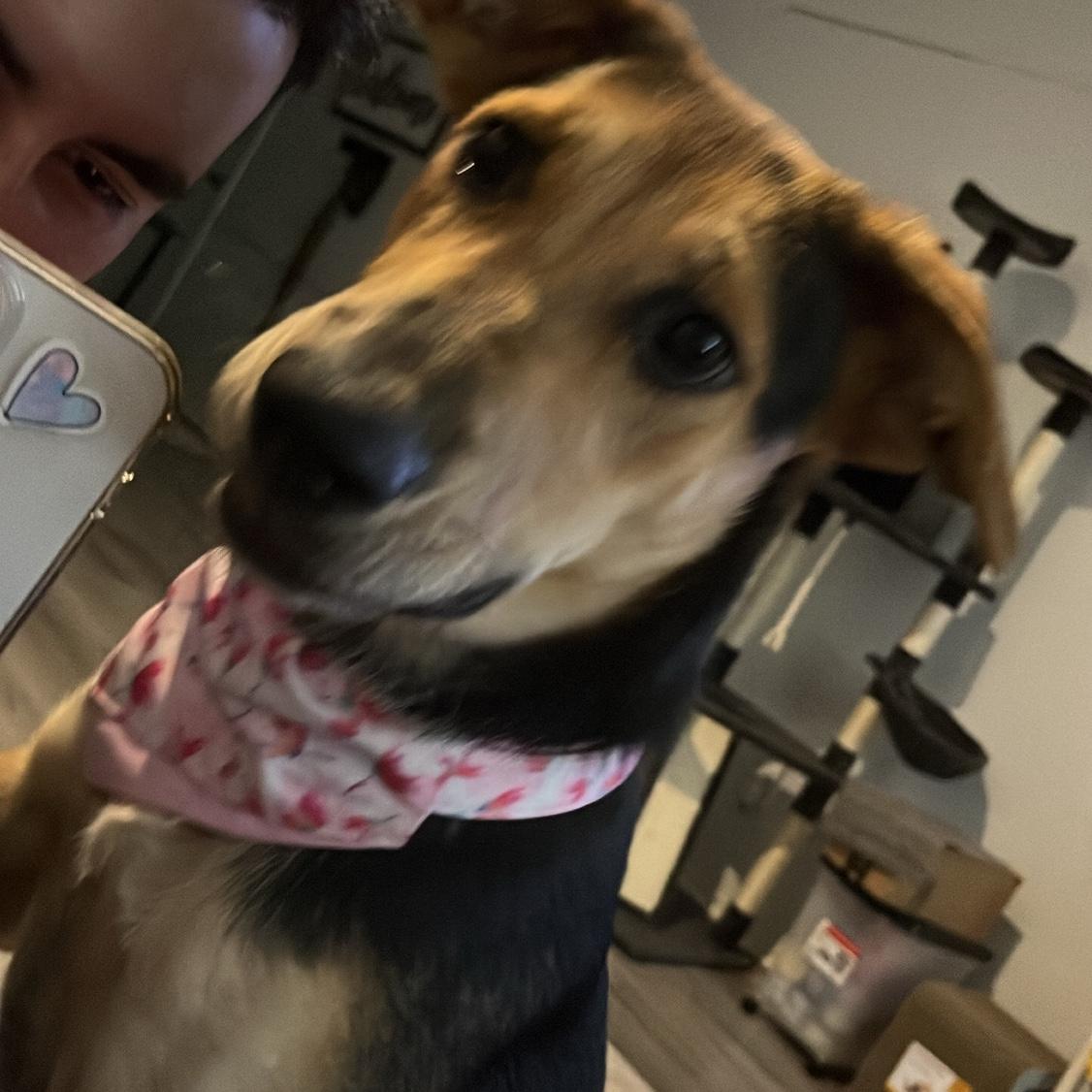 We got Maya!