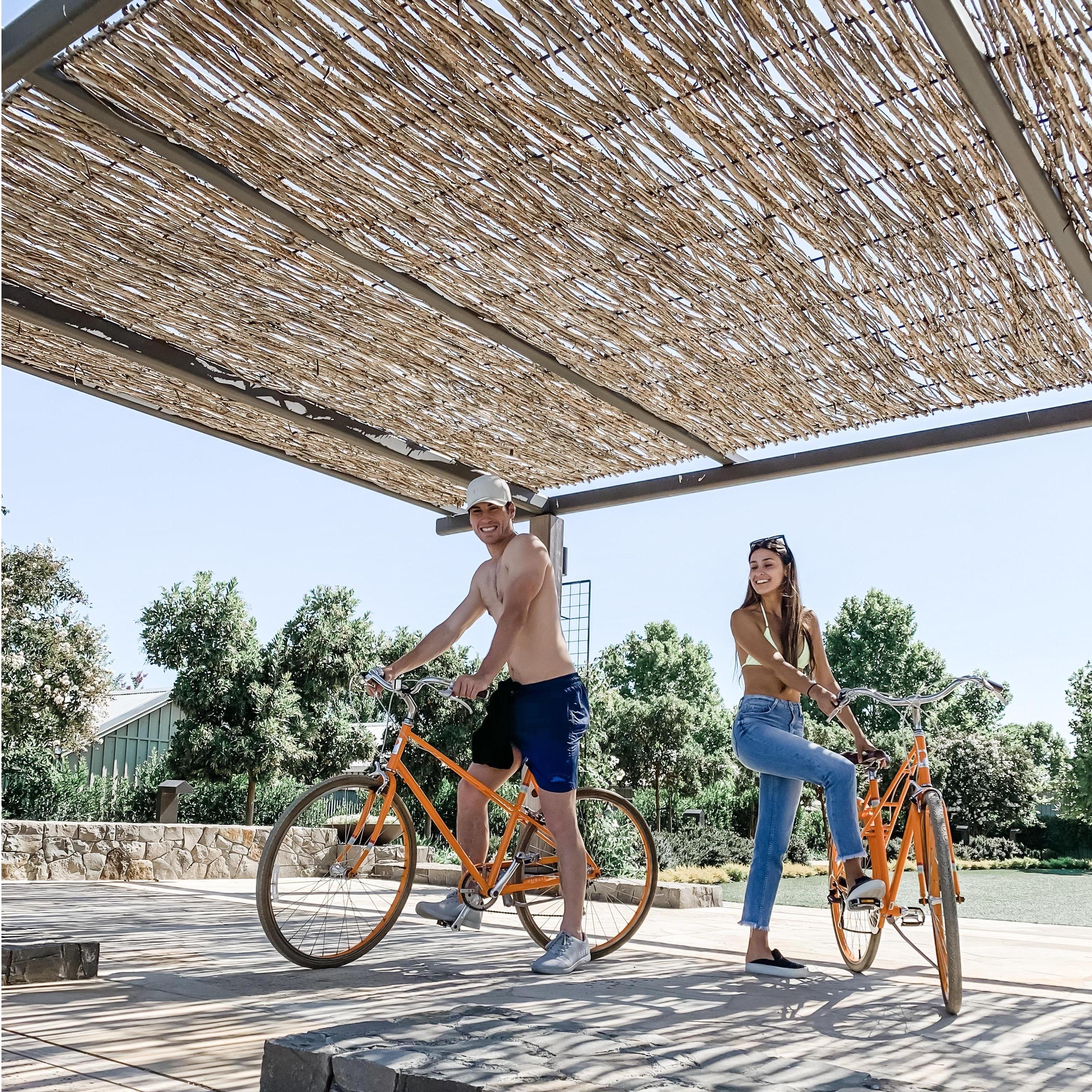 Bike rides in Napa