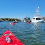 Coastal Expeditions on Shem Creek