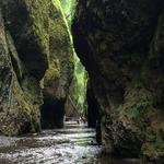 Go hike the Gorge!