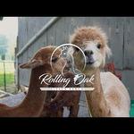 Rolling Oak Alpaca Ranch