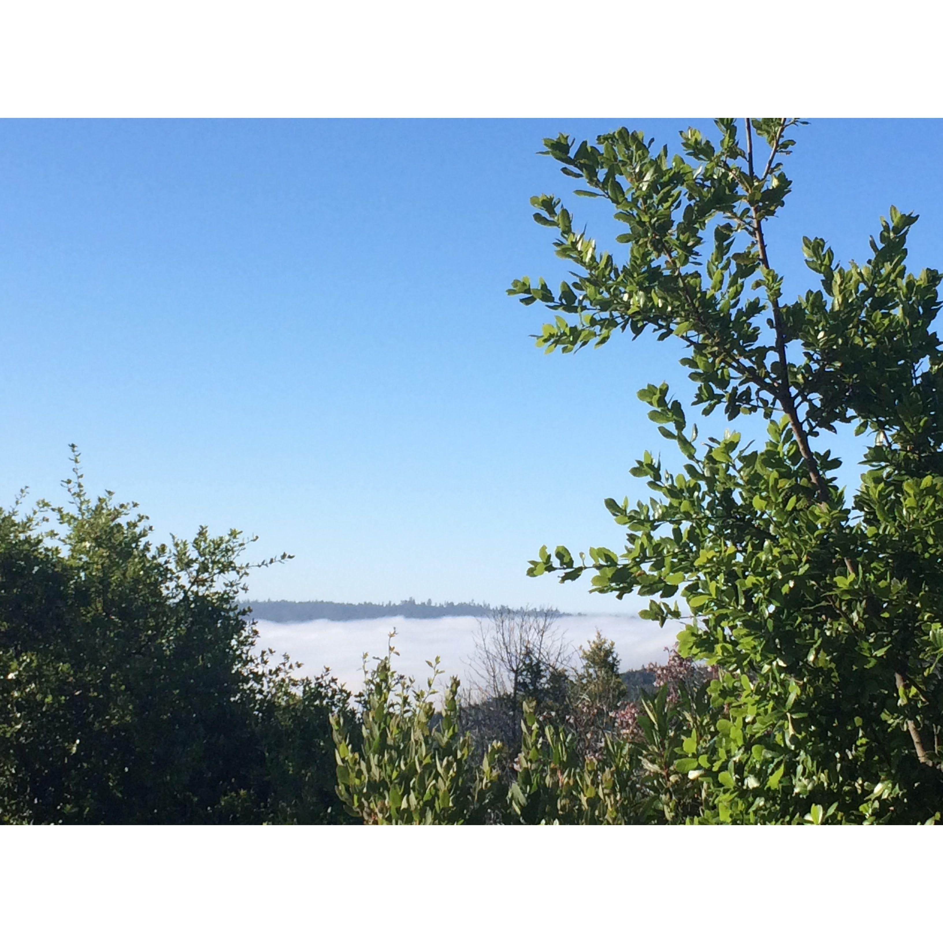 Paso Robles National Park. View from our favorite campsite we've ever been at.