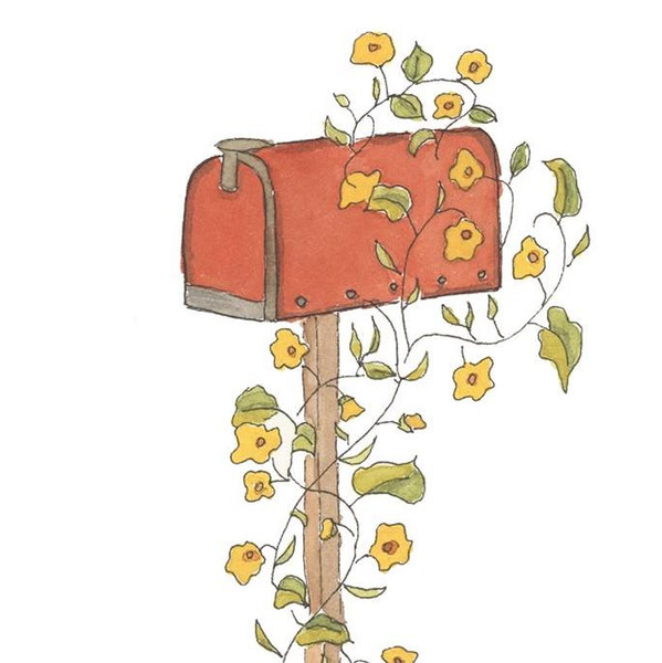New Mailbox