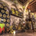 Museum of Tequila and Mezcal
