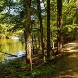 McDowell Nature Preserve