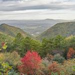 Scenic Drives