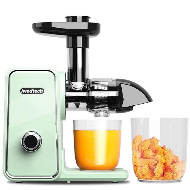 iwodtech Slow Masticating Juicer - with 2-Speed Modes, Easy-to-clean cold press juicer, juicer machines vegetable and fruit, With 2 Cups,Juicer with silent motor and reverse function （Matcha Green）