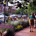 The Fayetteville Farmers Market