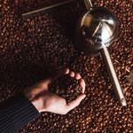 Experiencia de cata de café