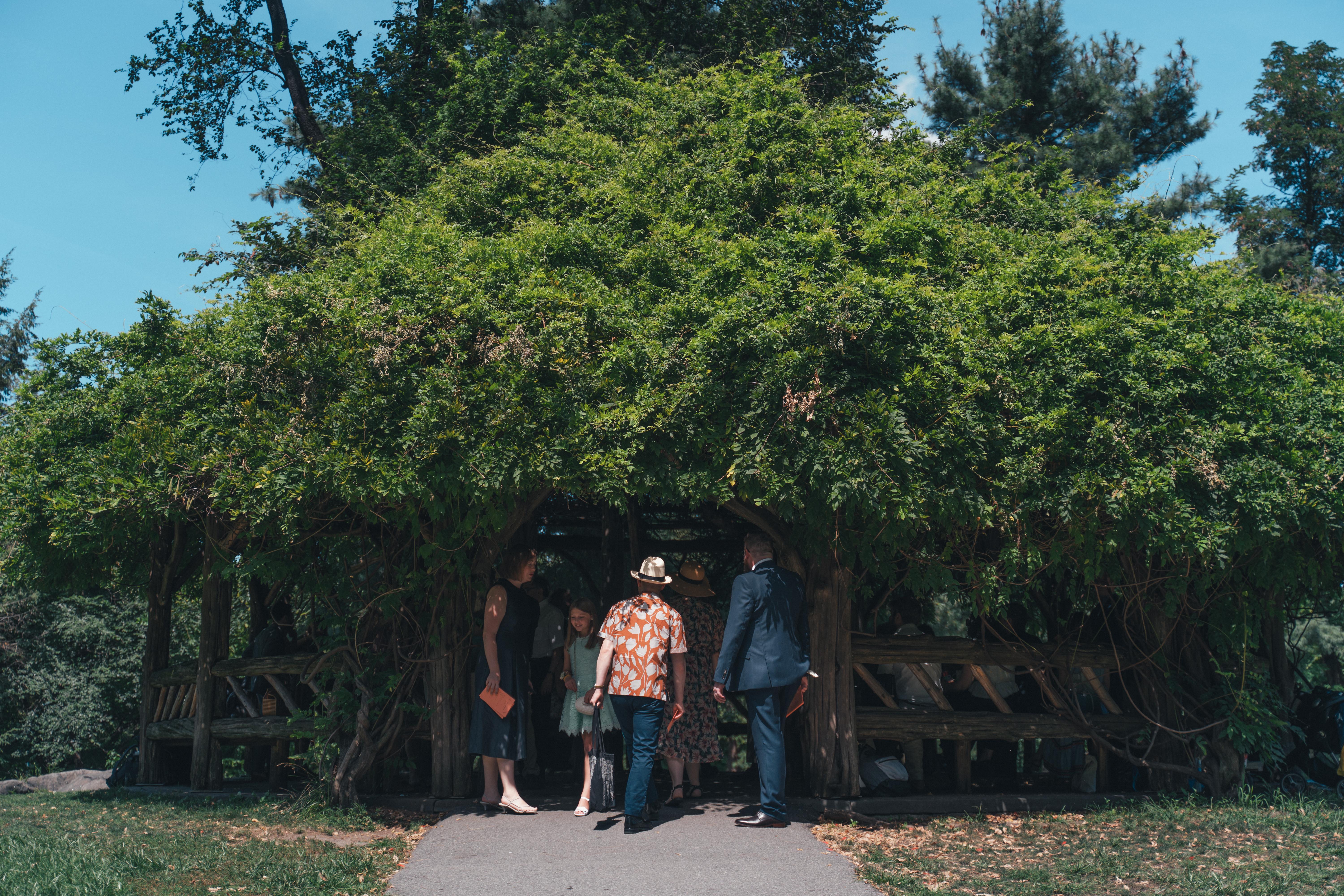 The Wedding Website of Emily Alcott and Chris Setter