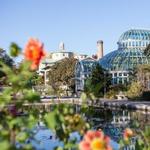 Brooklyn Botanic Garden