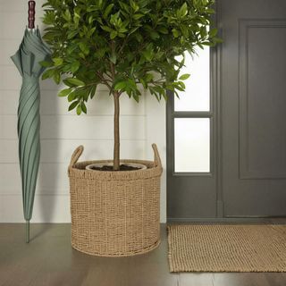Seagrass Basket with Handles