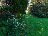 Bartlett Arboretum & Gardens