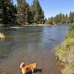 Deschutes River Trail