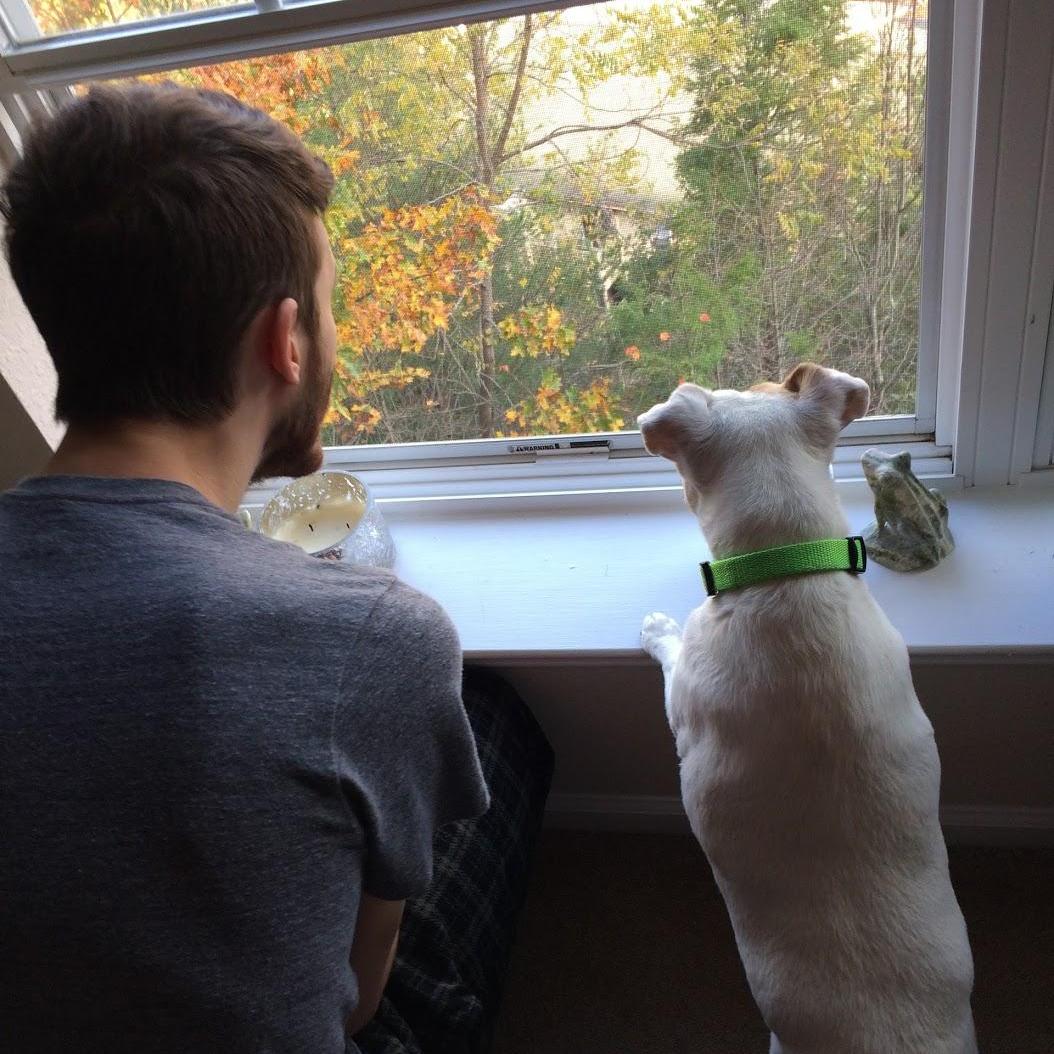 October 30, 2016: Kyle and Syb looking out the window, enjoying the leaves.