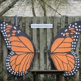 Nature Center of Cape May