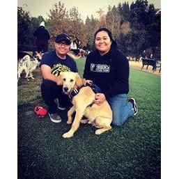 Puppy Parents.