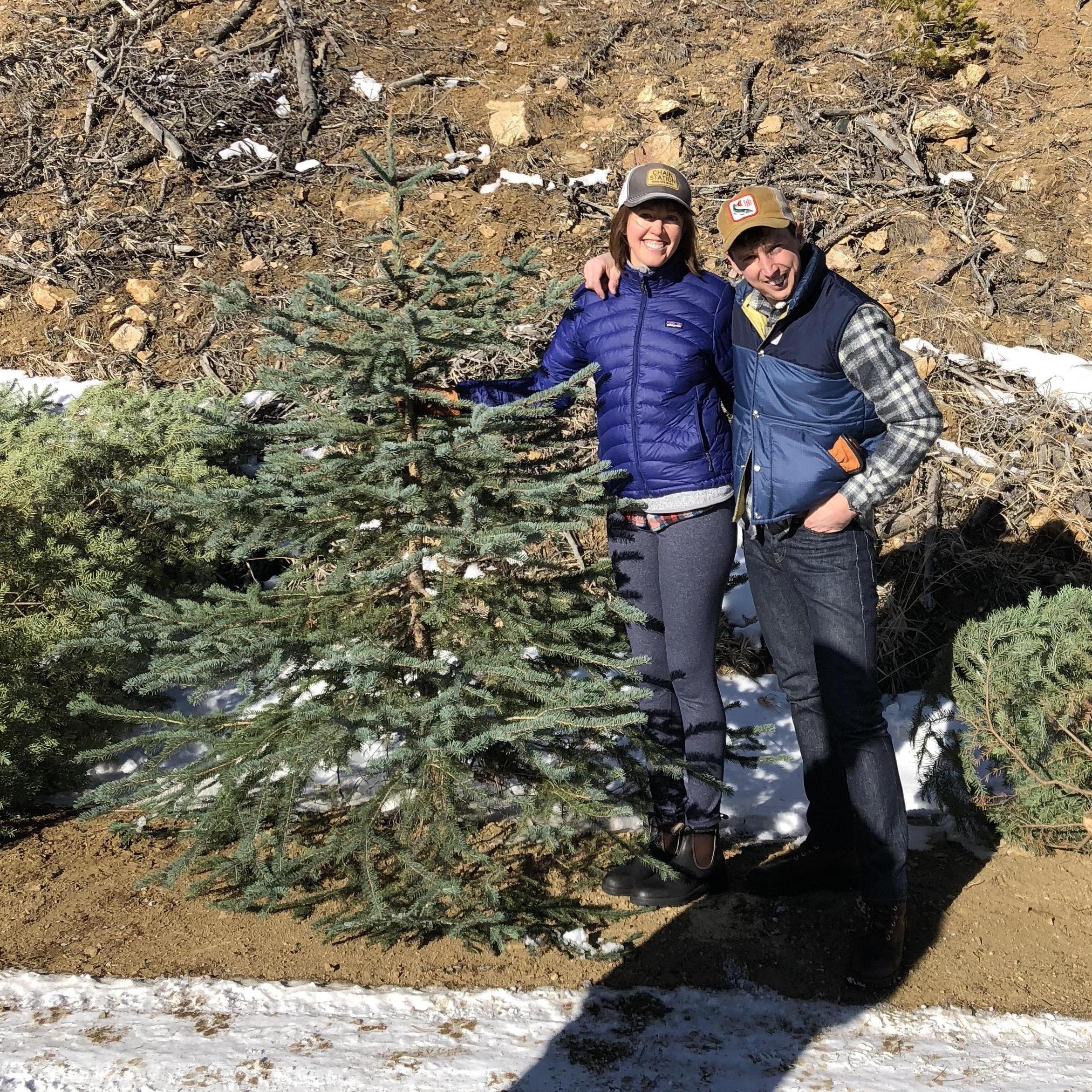 Our first Christmas Tree