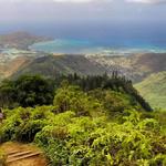 Kuliouou Ridge Trail
