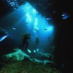 Poor Knights Islands