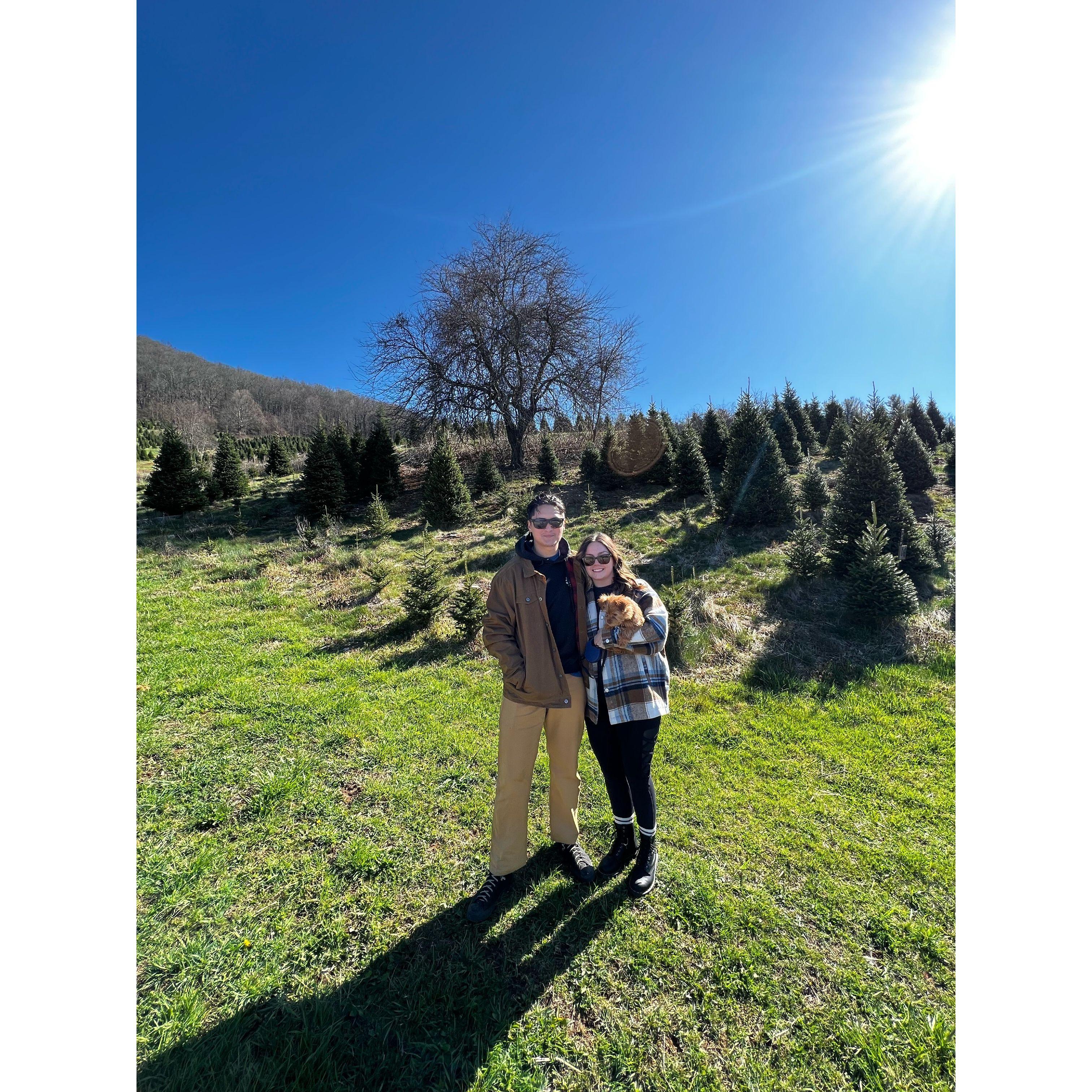 Touring wedding venues in Boone