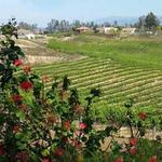 Wineries