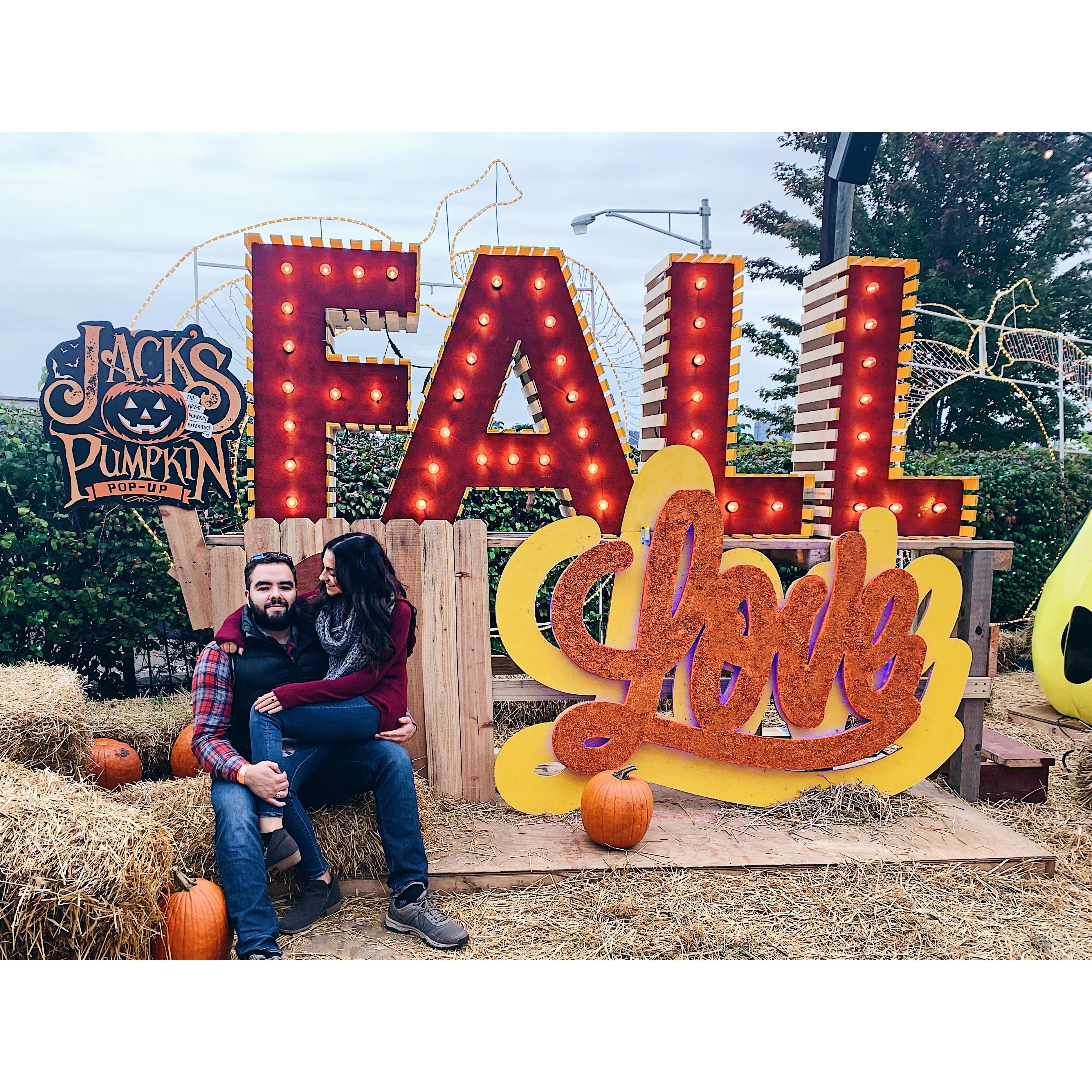 Jack's Pumpkin Farm