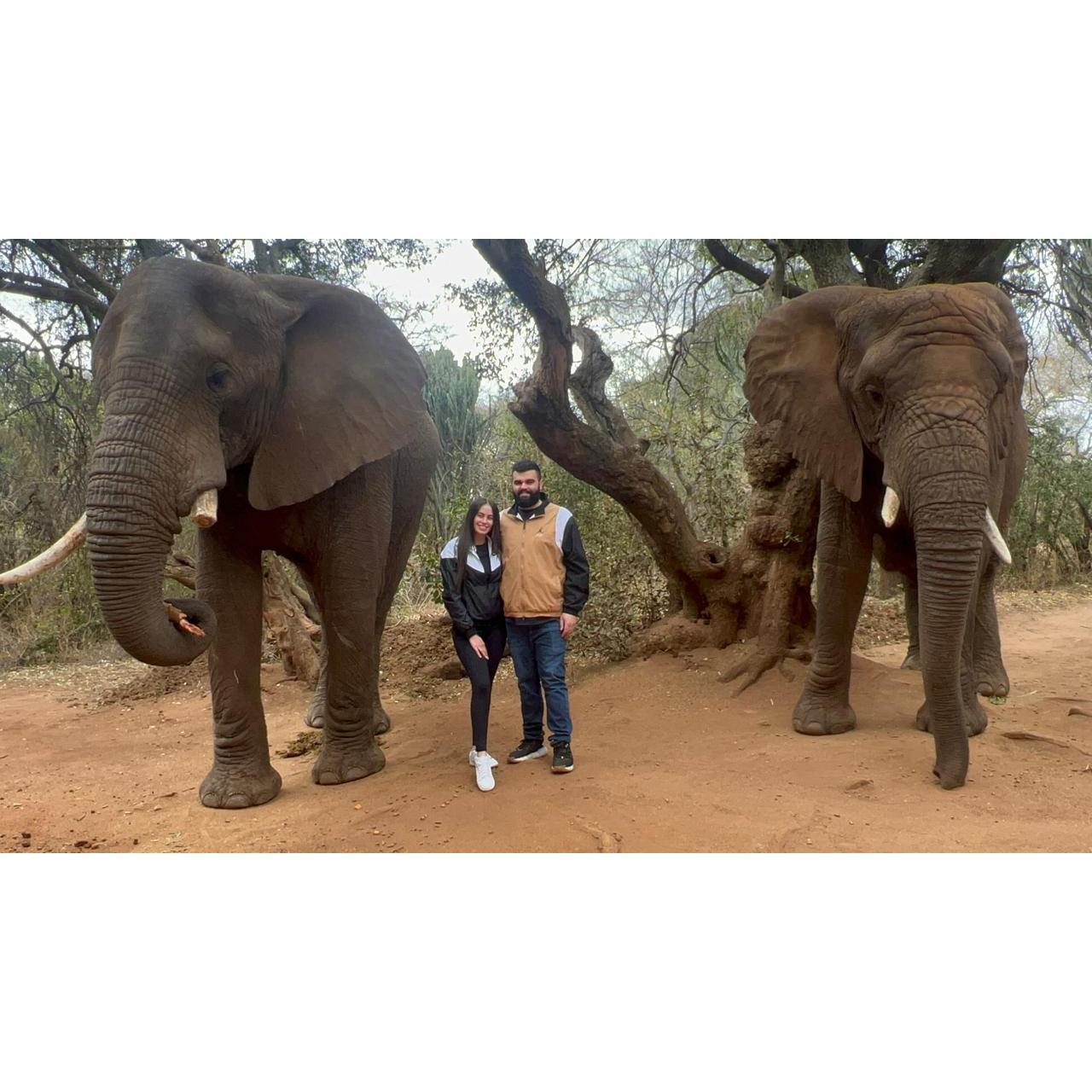 A day out at the elephant sanctuary 🐘🐘