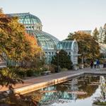 Brooklyn Botanical Gardens