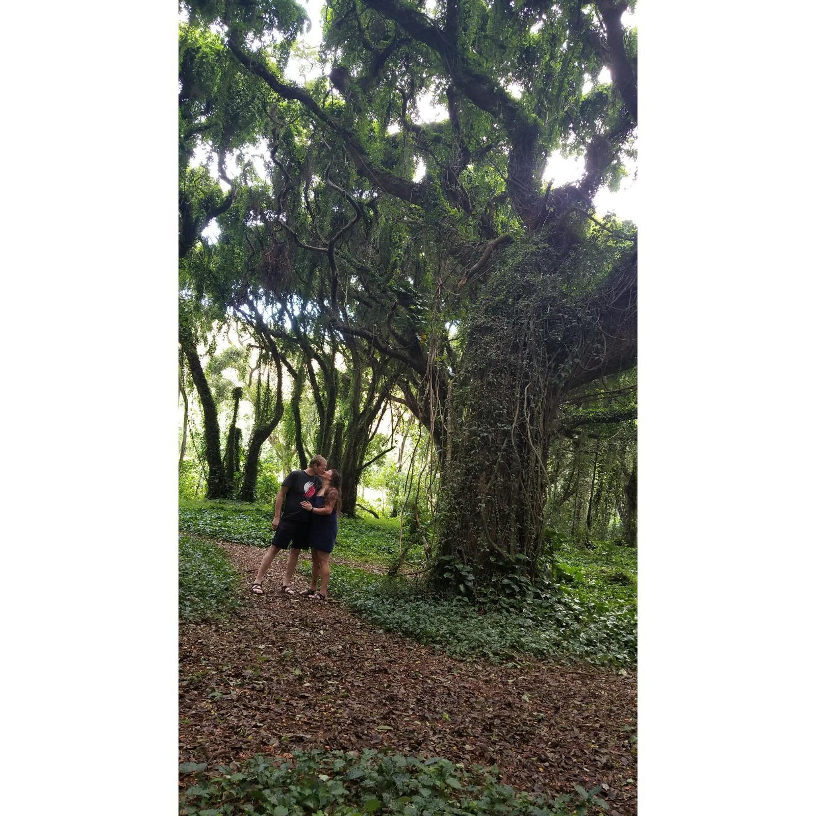 This is the spot that Dwight got down on one knee