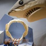 South Carolina State Museum
