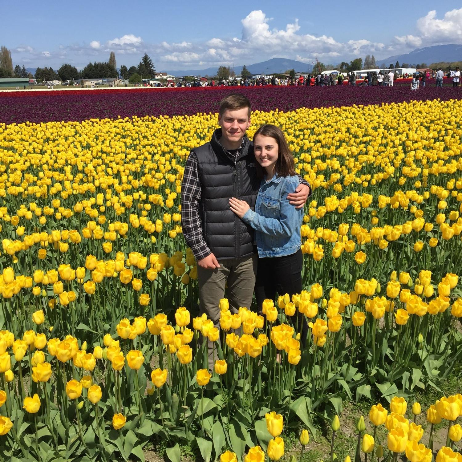 Tulip fields 2018