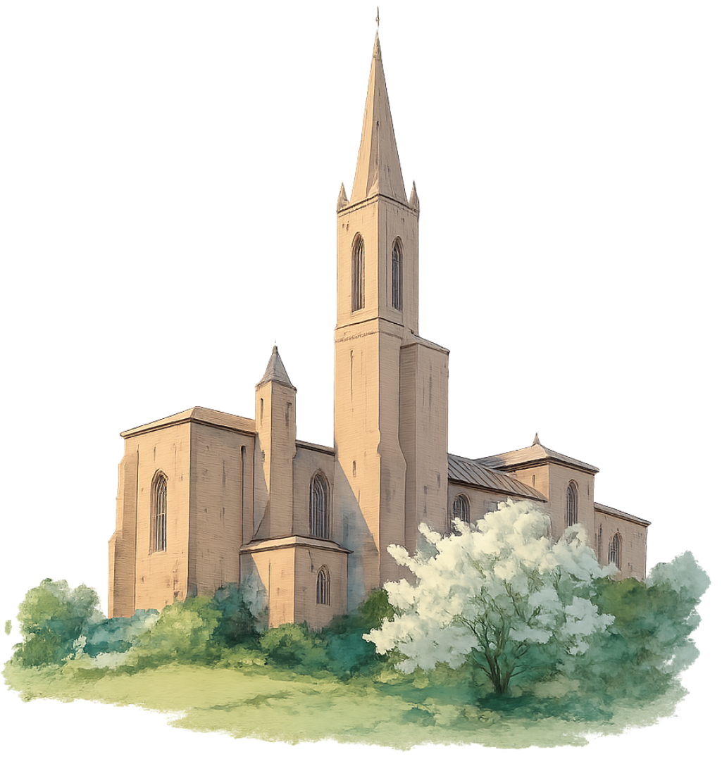 The Wedding Website of Mark Cianni and Dominika Krysztofowicz