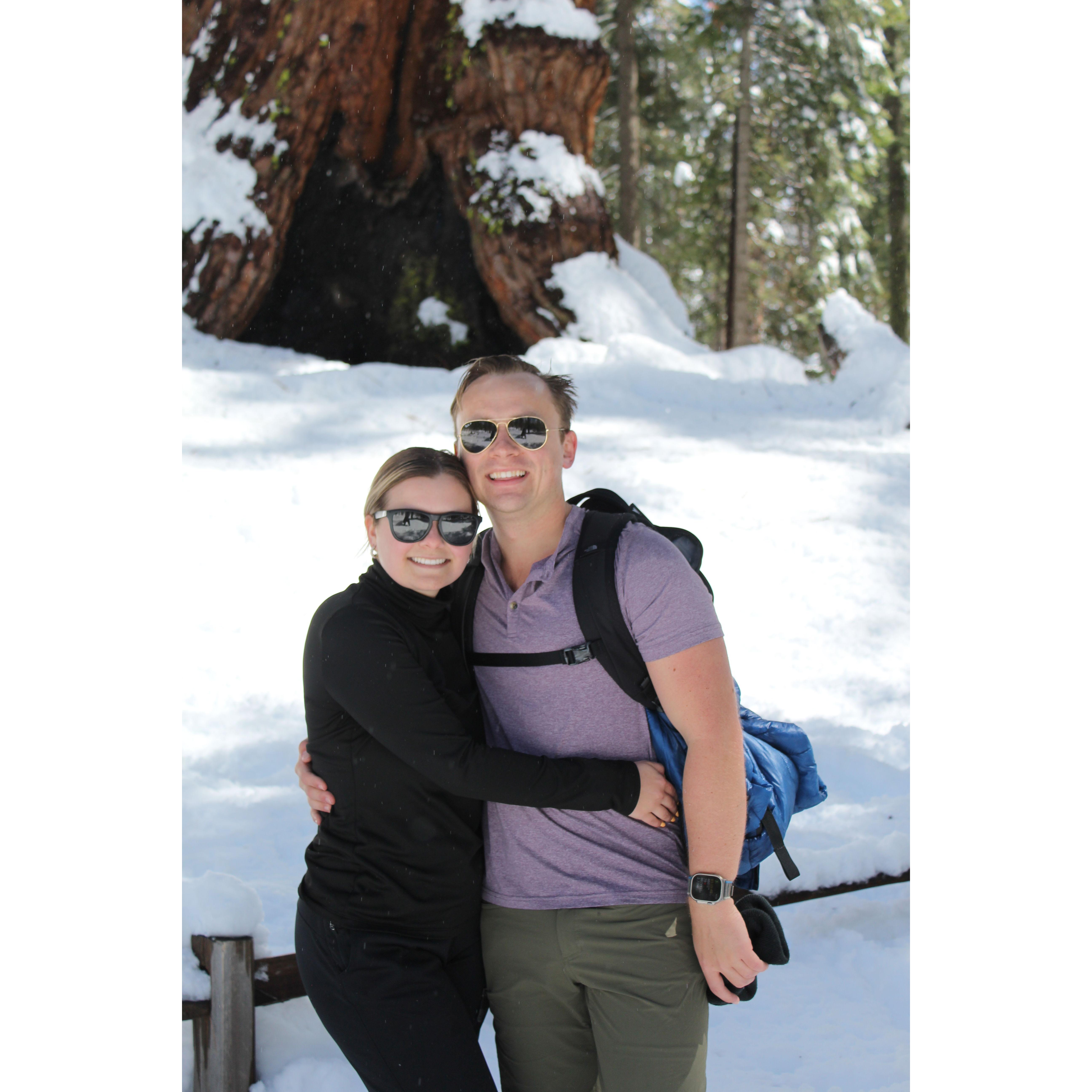 Sequoia National Park!