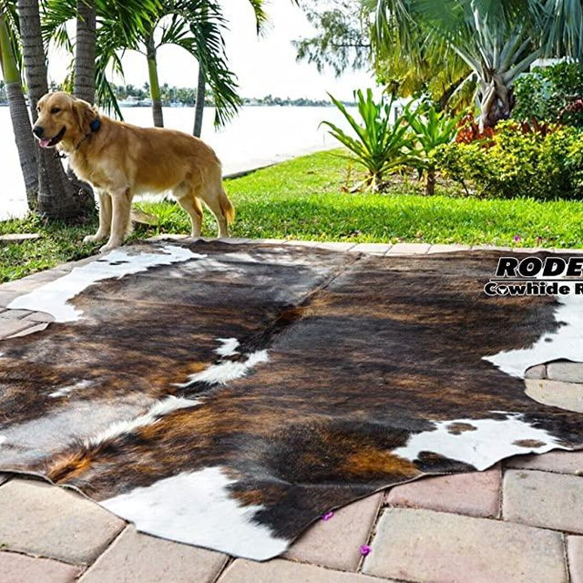 Amazing RODEO Cowhide Rug Hair on Skin cowhides Tricolor Brown Large Size