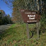 Finger Lakes National Forest