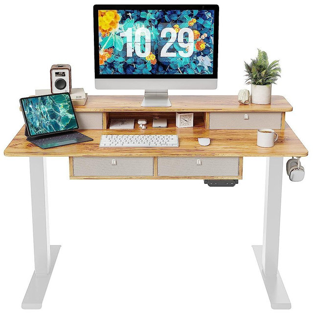 FEZIBO Sturdy Height Adjustable Electric Standing Desk with Drawers, 48 x 24 Inch Stand Up Table with Large Storage Shelf, Sit Stand Desk, Light Rustic Brown Top