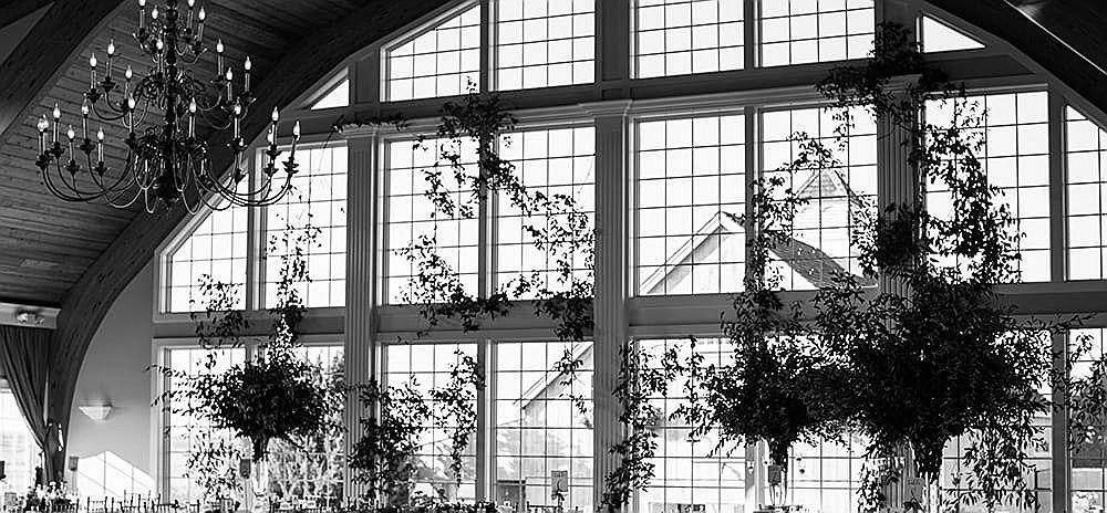 The Wedding Website of Cristi DiBernardo and Christopher Tattoli