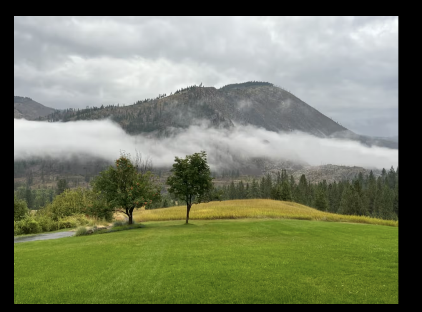 The Wedding Website of Kiley Schrader and Clint DeLarm