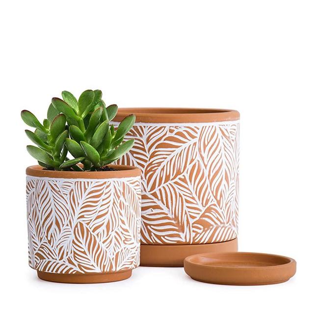 4.5 Inch and 6.4 Inch Ceramic Planter Pot with Drainage Holes and Saucers, Leaf Design, Terracotta/White, 31-958-T-1
