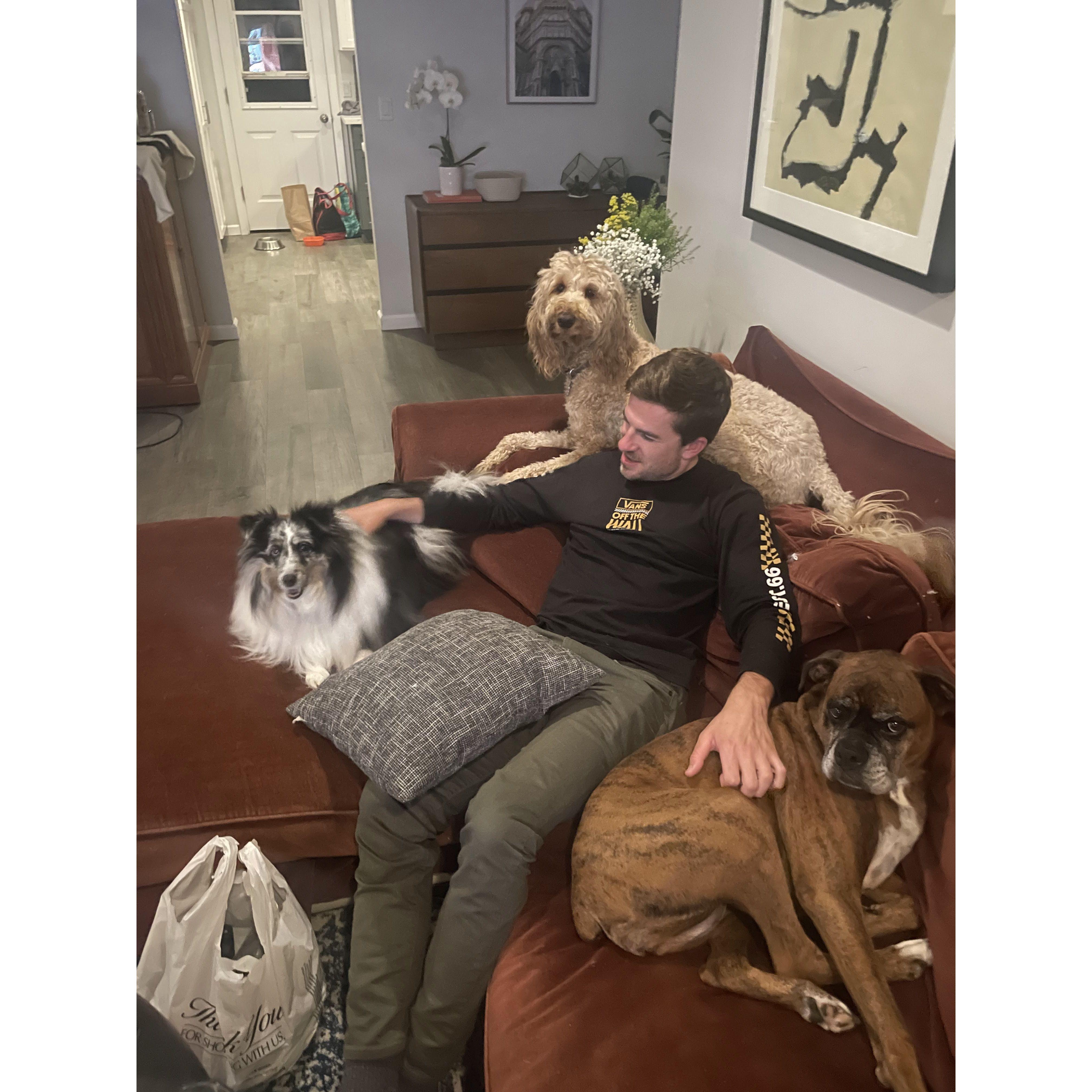 Dog dad forever