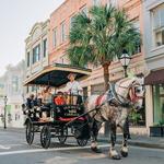 Charleston’s Old South Carriage Historic Horse & Carriage Tour