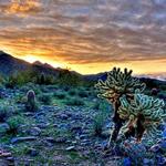 McDowell Sonoran Preserve Gateway Trail