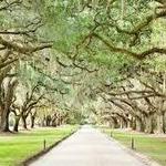 Boone Hall Plantation & Gardens