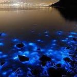 Luminous Lagoon Glistening Waters